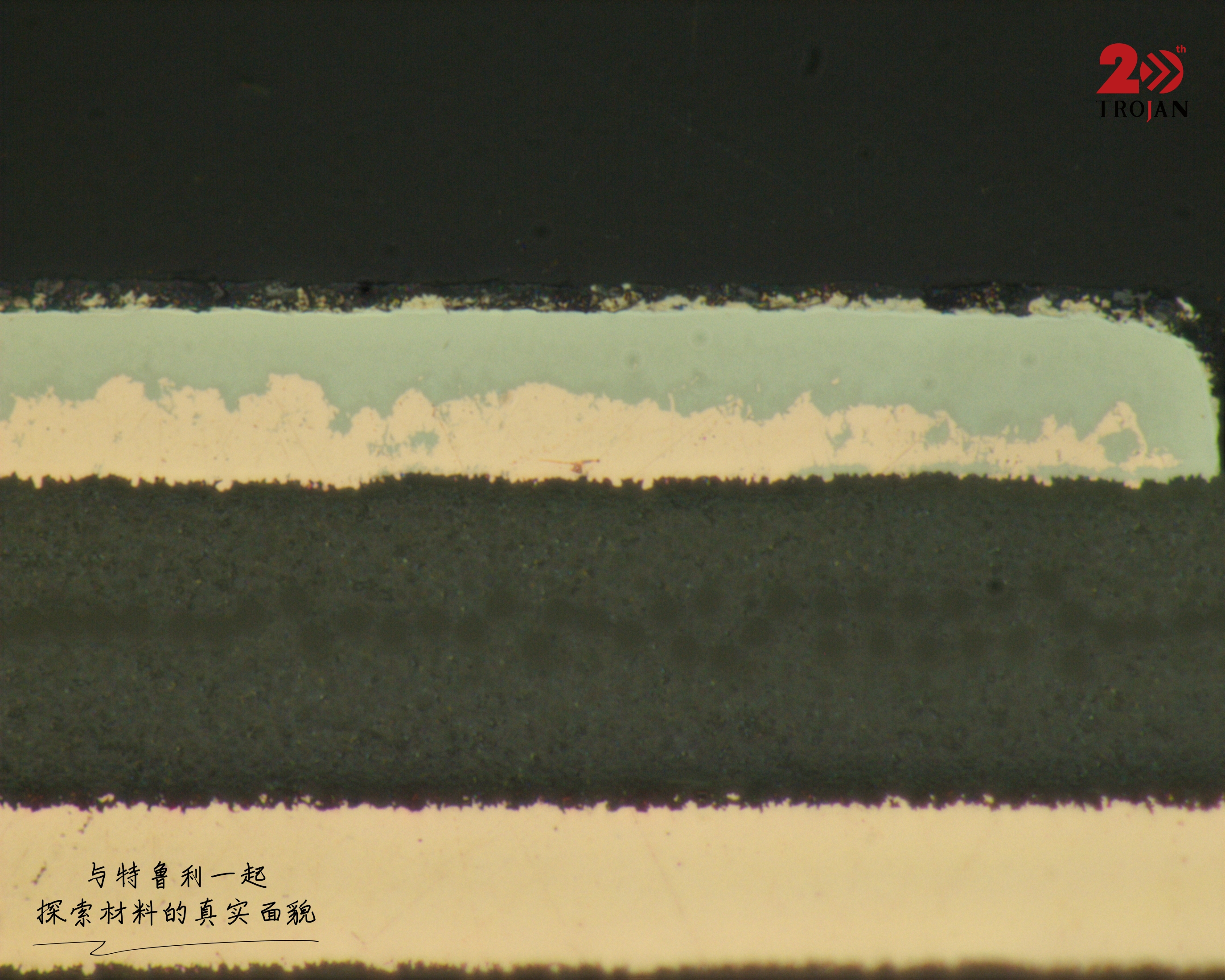 ENEPIG coating interface