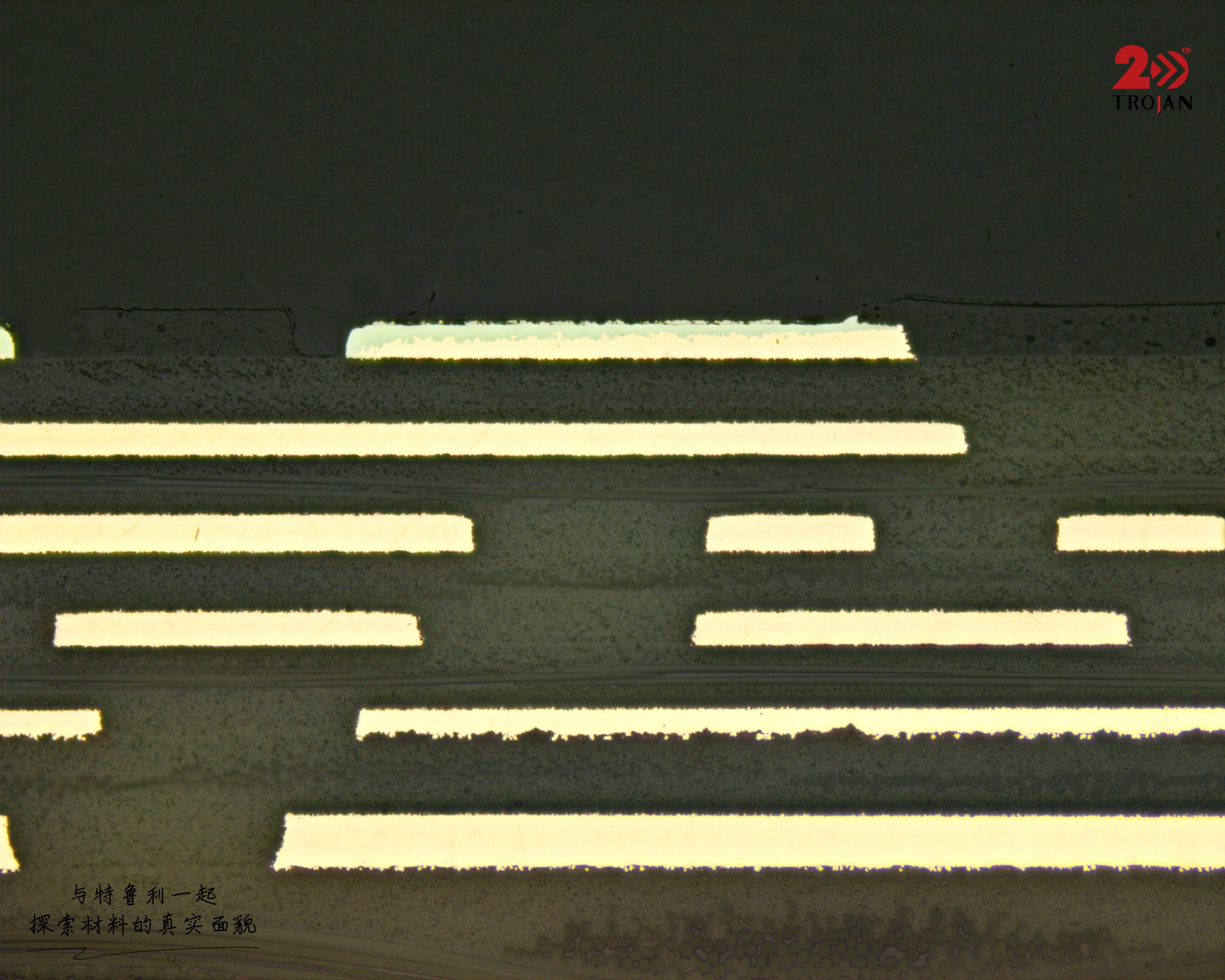 Plating quality inspection